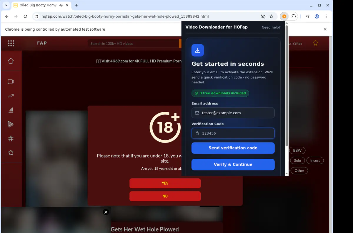 Hqfap Video Downloader browser extension screenshot 4