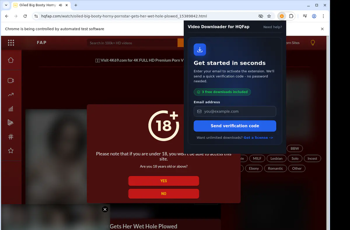 Hqfap Video Downloader browser extension screenshot 5